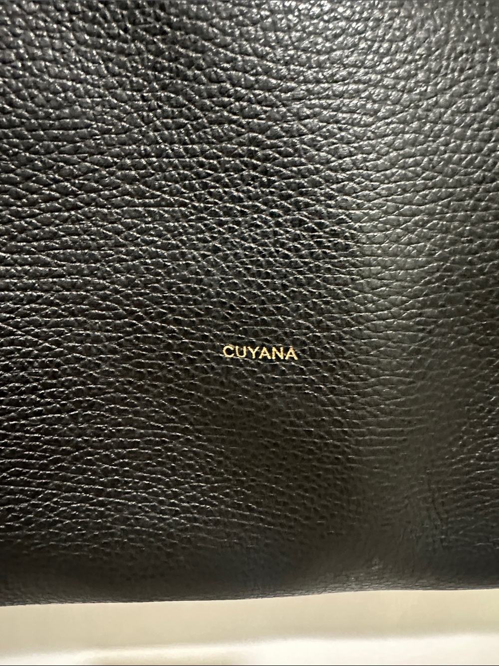 Classic Cuyana Black Pebbled Leather easy tote and easy zipper